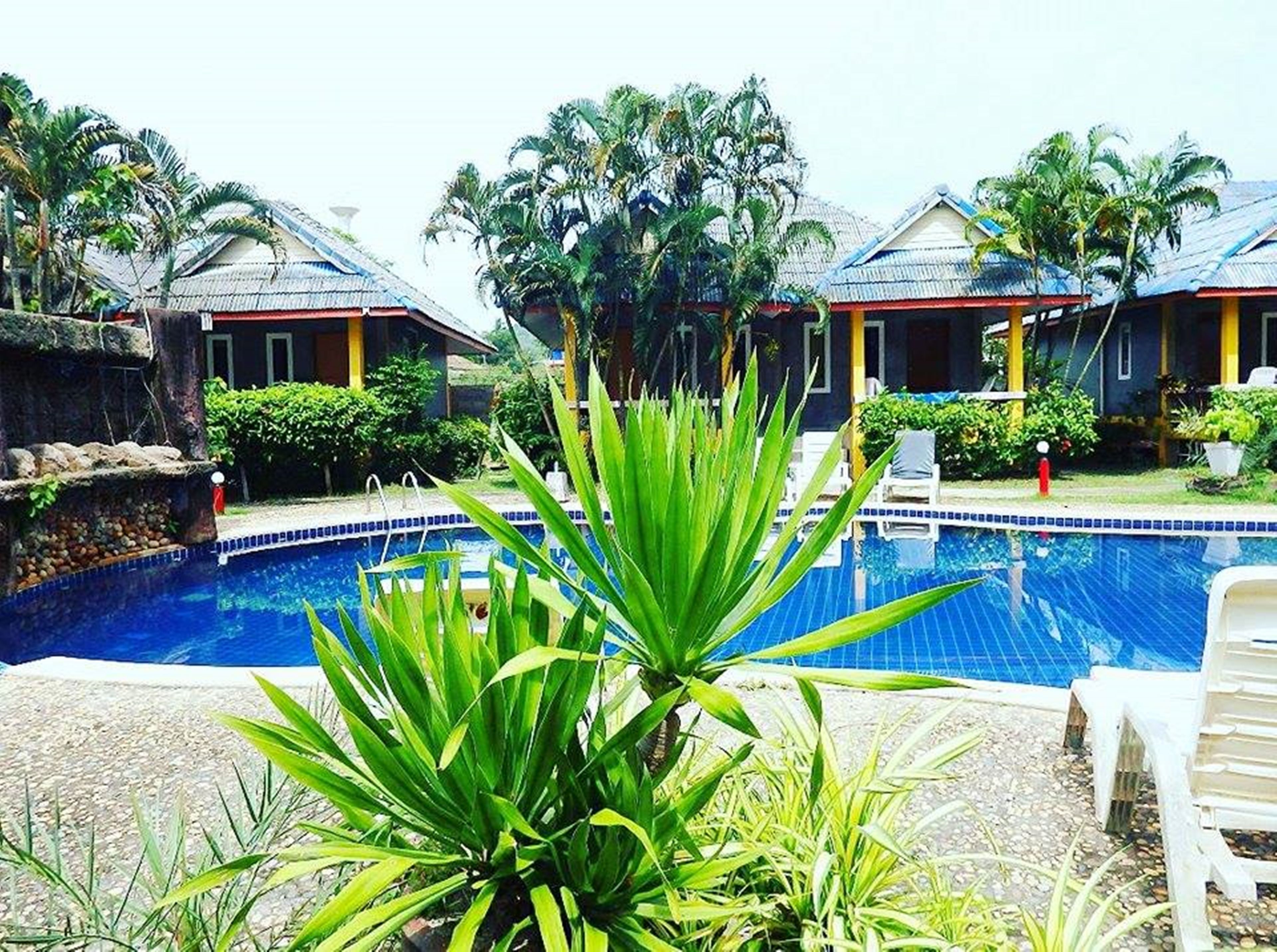 2 outdoor pools, sun loungers