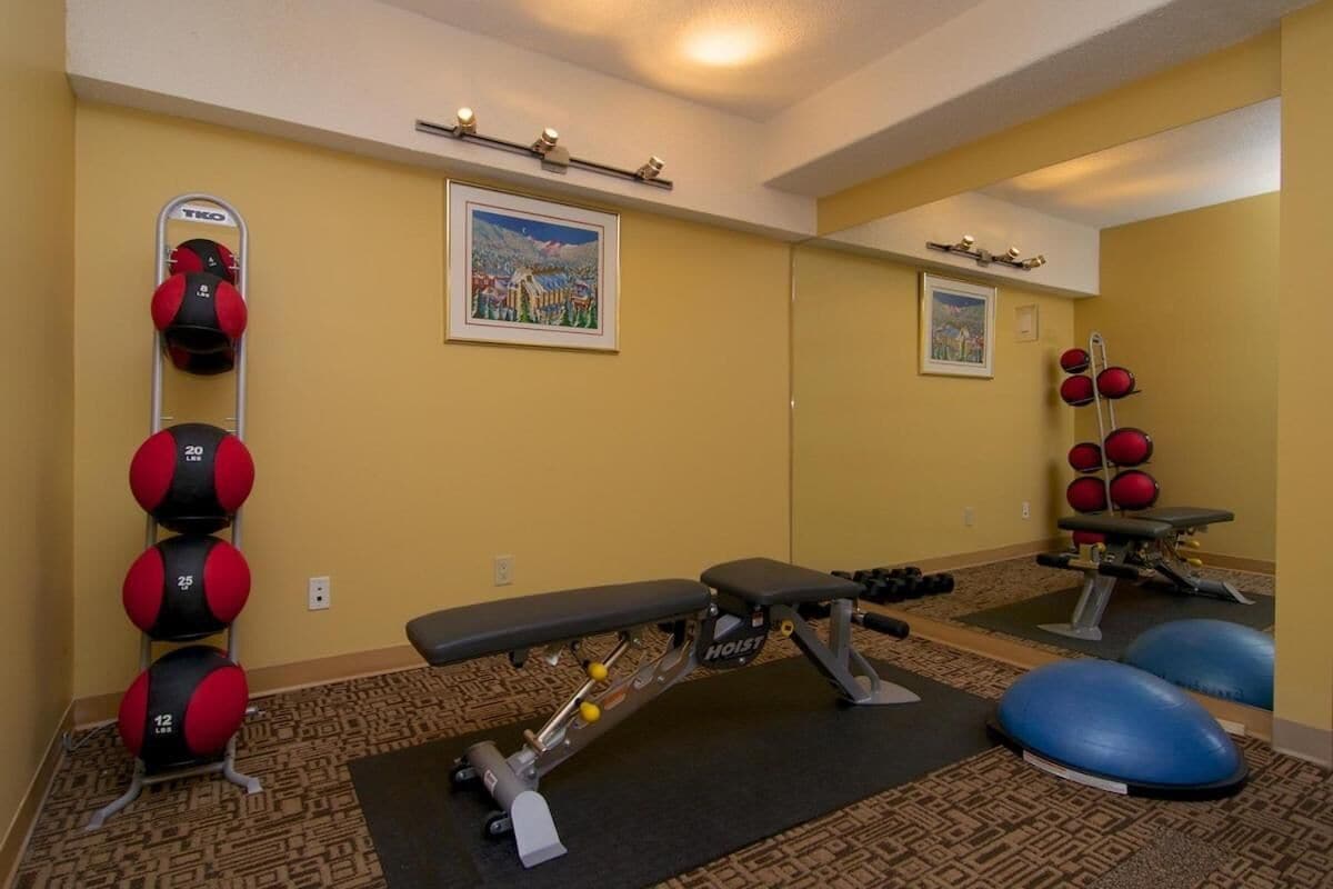 A gym with exercise equipment, a bench, and exercise balls.