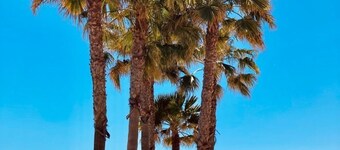 Hotel Sol Almería