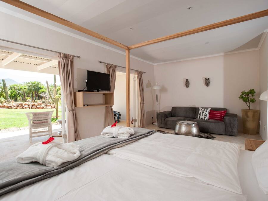A bedroom with a large bed, a sofa, a TV on a shelf, and a view of a garden with cacti.