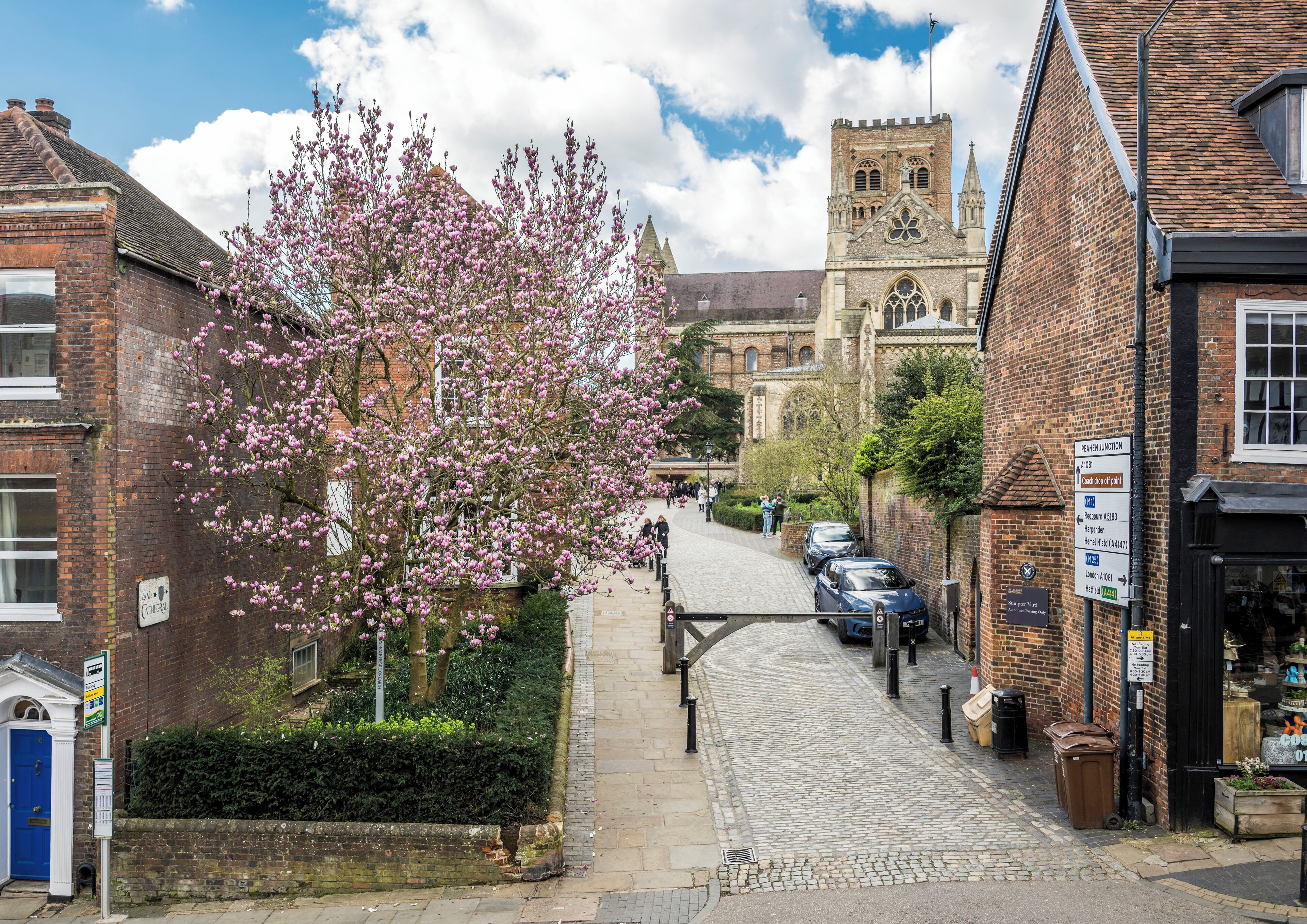 Una calle empedrada bordeada de edificios históricos, una imponente torre de iglesia y un árbol con flores rosadas.