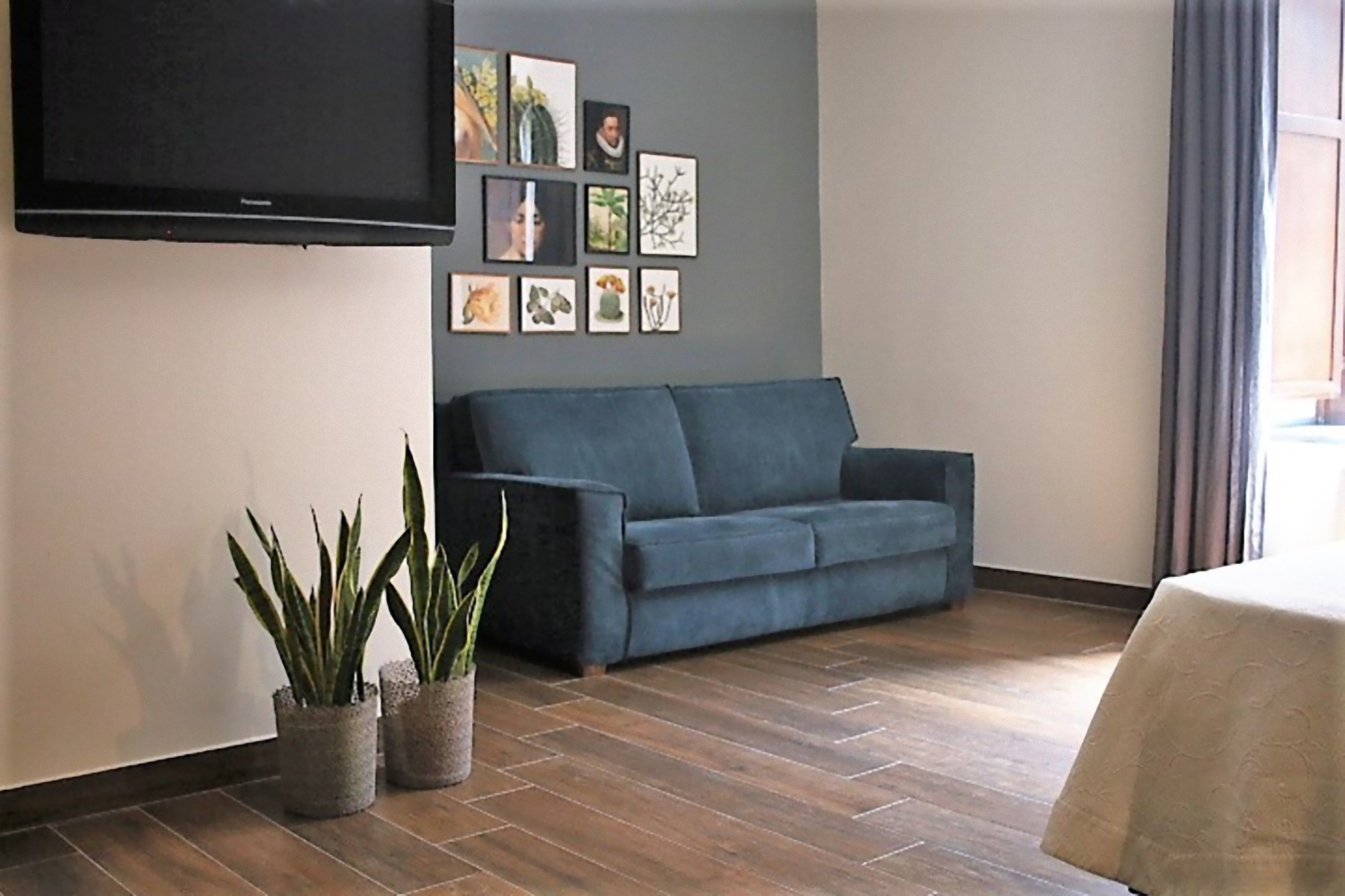 A living room with a dark blue sofa, a flat-screen TV mounted on the wall, and several framed botanical prints. There are two potted plants on the floor.