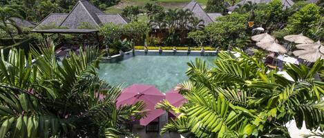 A pool surrounded by lush greenery and thatched-roof structures.