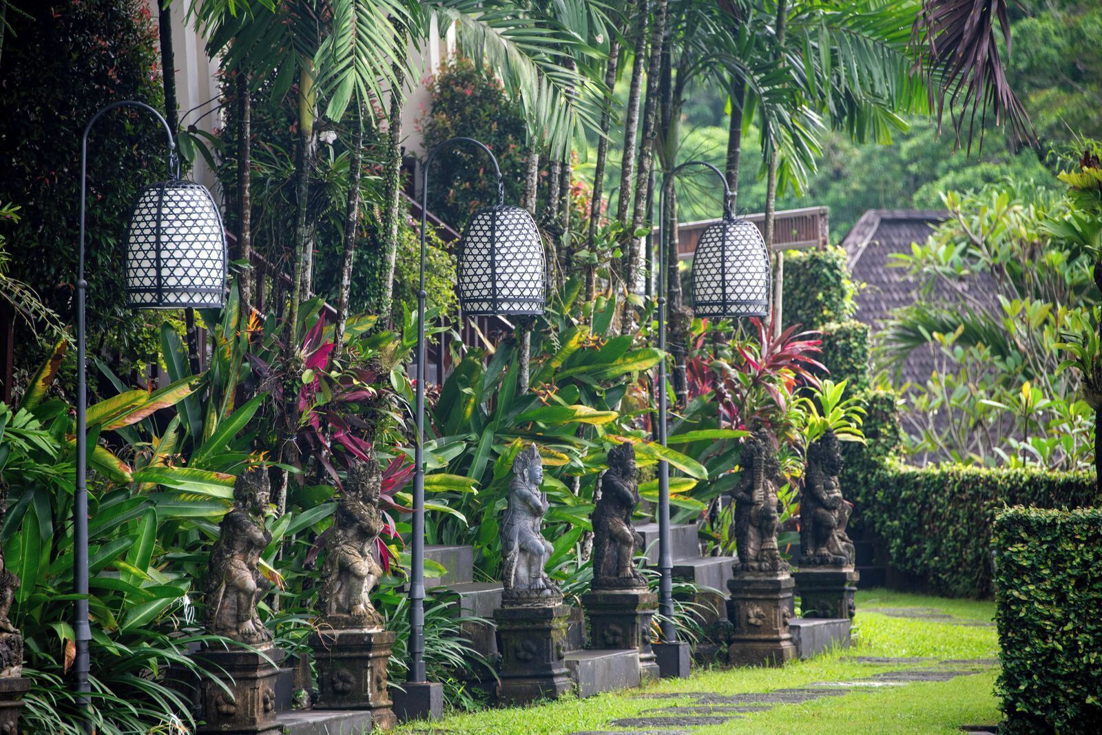 Taman