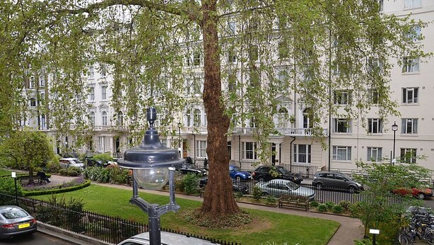 Eine Wohnstraße mit parkenden Autos, einem großen Baum und einer Straßenlaterne.