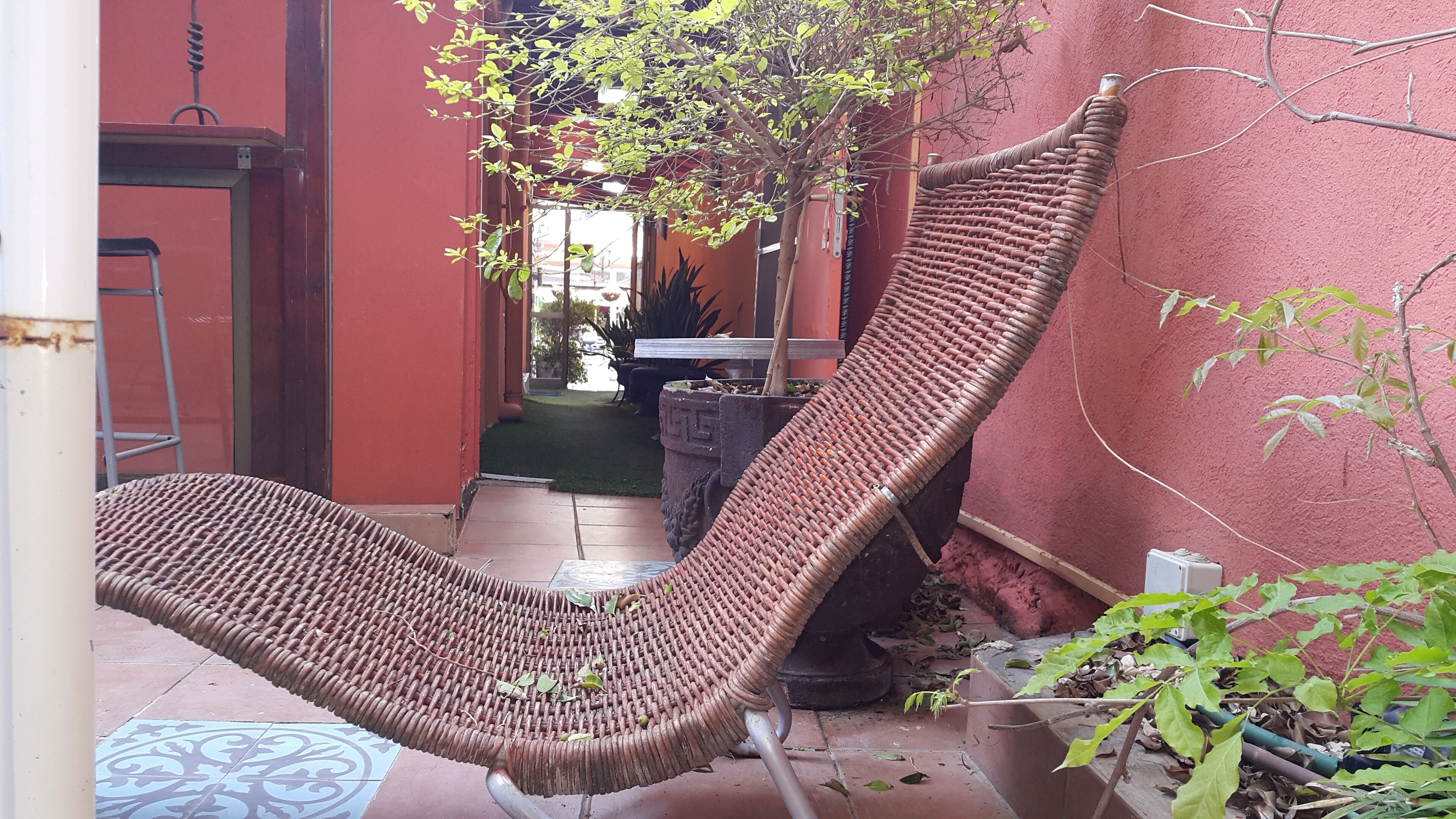 A wicker chair in a narrow outdoor corridor with a red wall and a small tree.