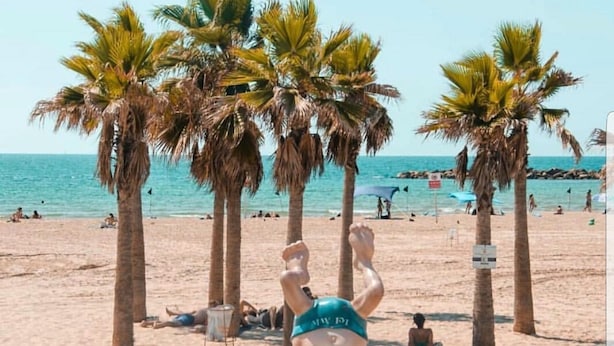 A beach with palm trees and people relaxing. - Central Hotel (Tel Aviv)