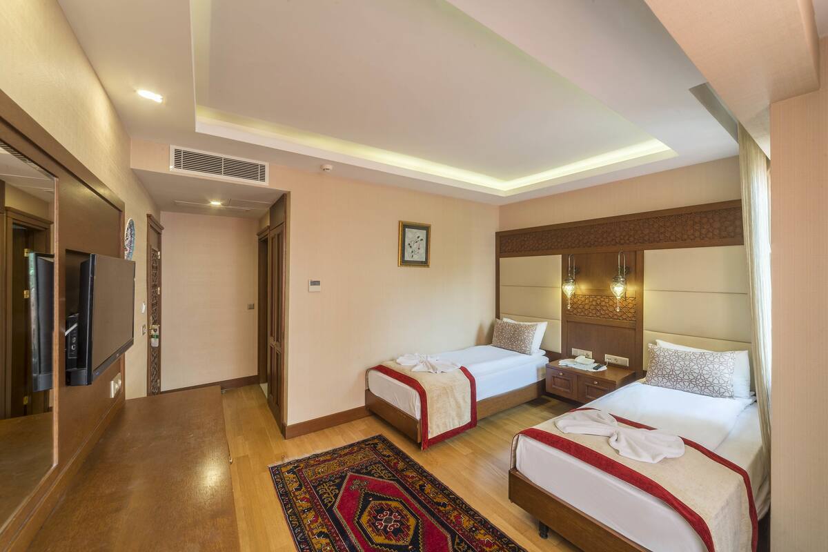 A hotel room with two beds, a TV, a desk, and a patterned rug.