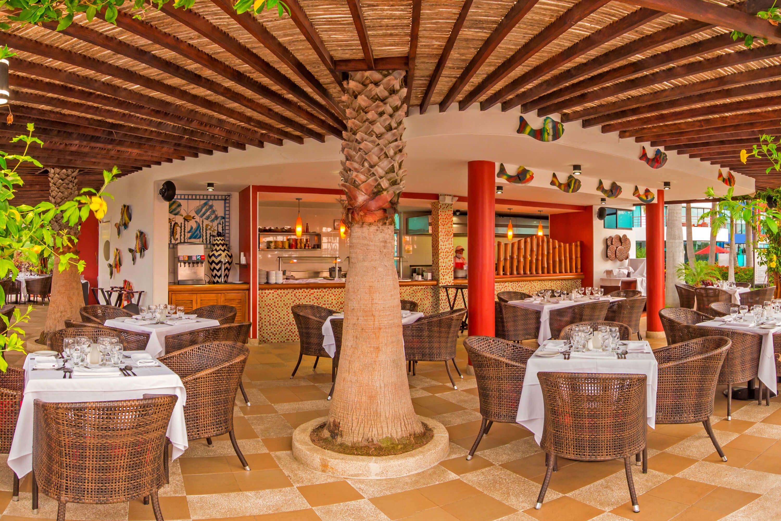 A restaurant with wicker tables and chairs, a central palm tree, and a tiled floor.