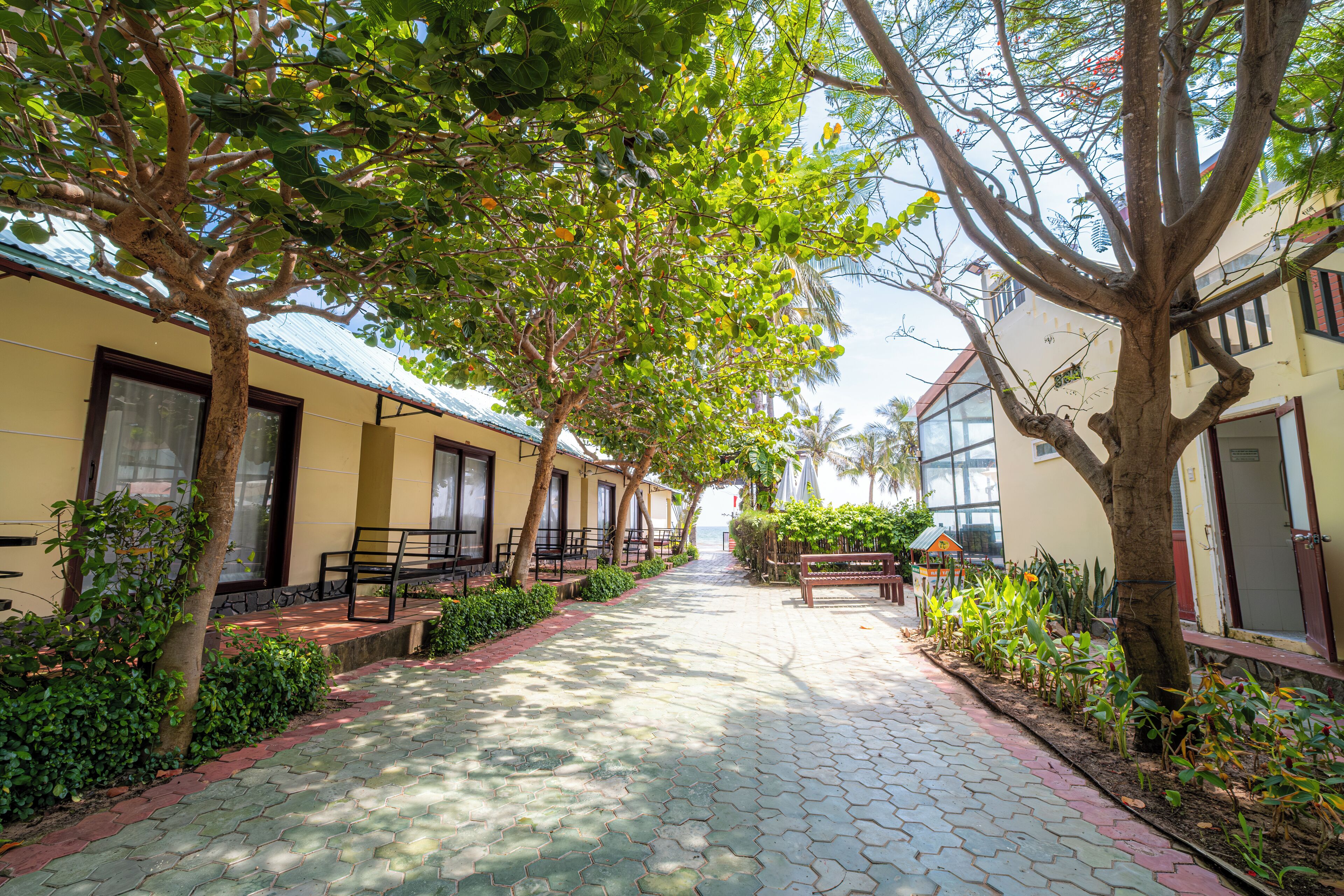 A paved walkway lined with trees and benches, leading to a building with a yellow facade and a red roof.