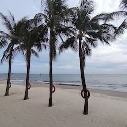On the beach, sun-loungers