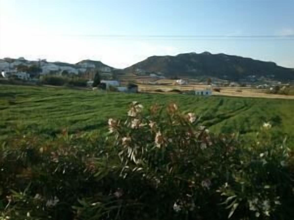 Foto - Hotel Anatolia