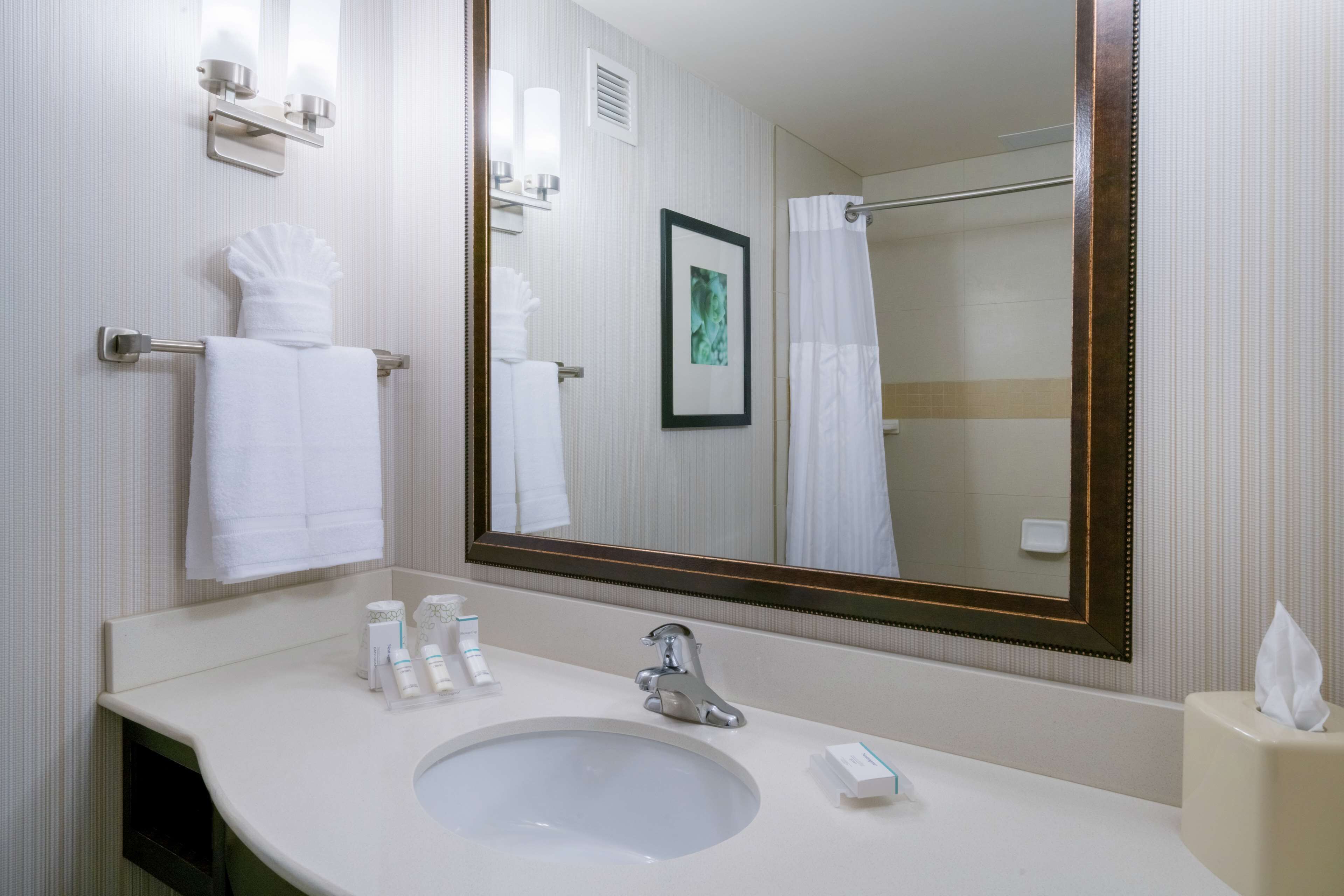 A hotel bathroom with a sink, mirror, towel rack, and a framed picture on the wall.