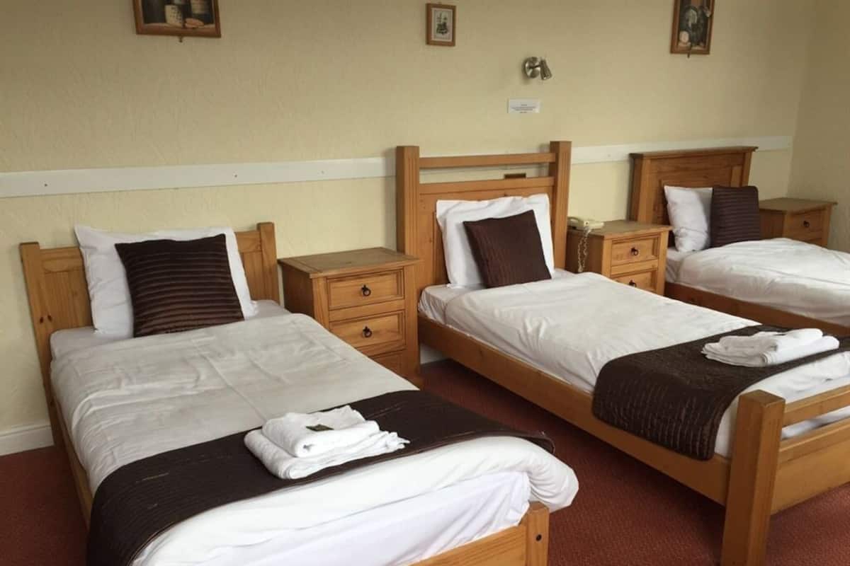 Standard Triple Room, Ensuite | Desk, blackout drapes, iron/ironing board, bed sheets