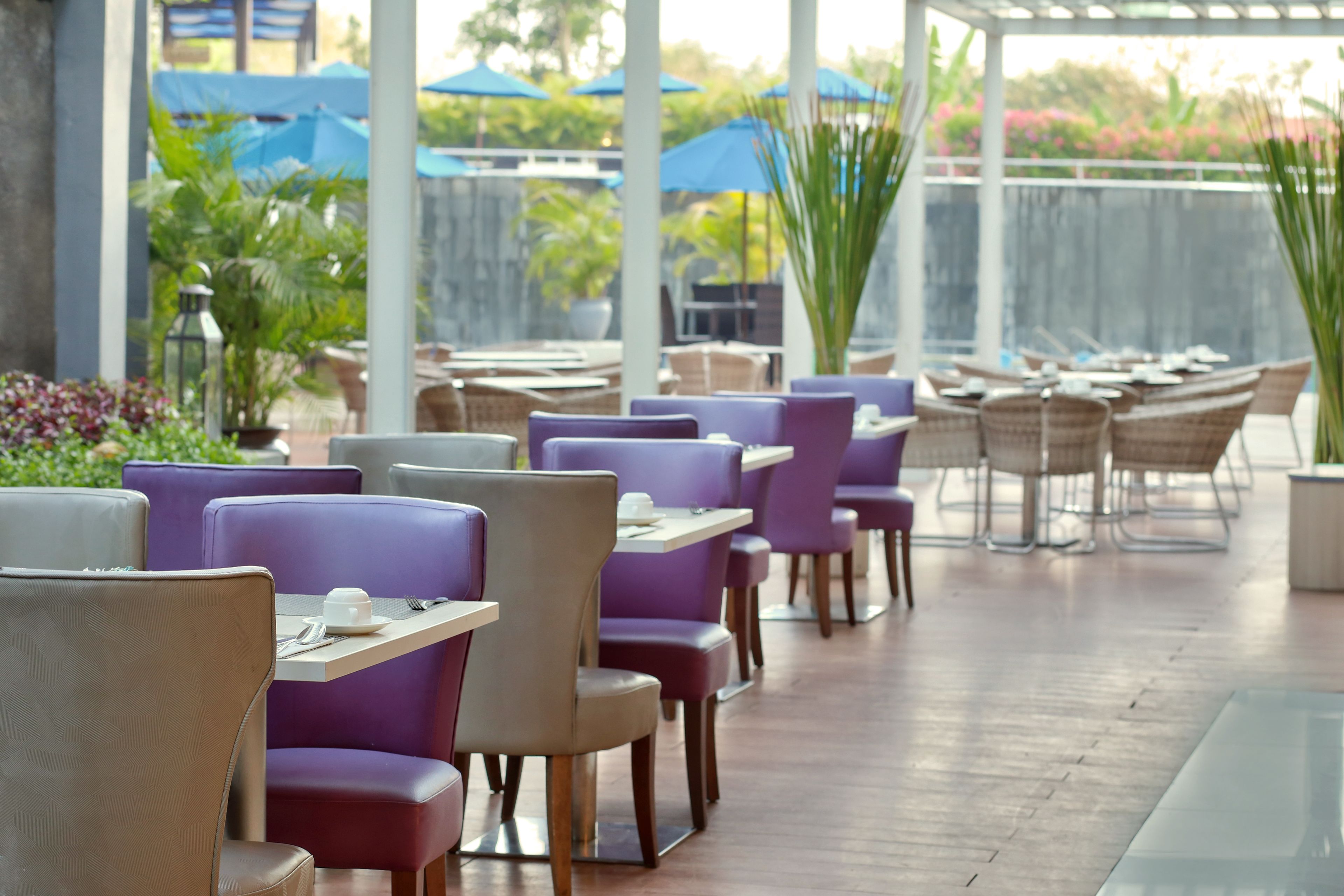 供应早餐、午餐和晚餐，国际美食