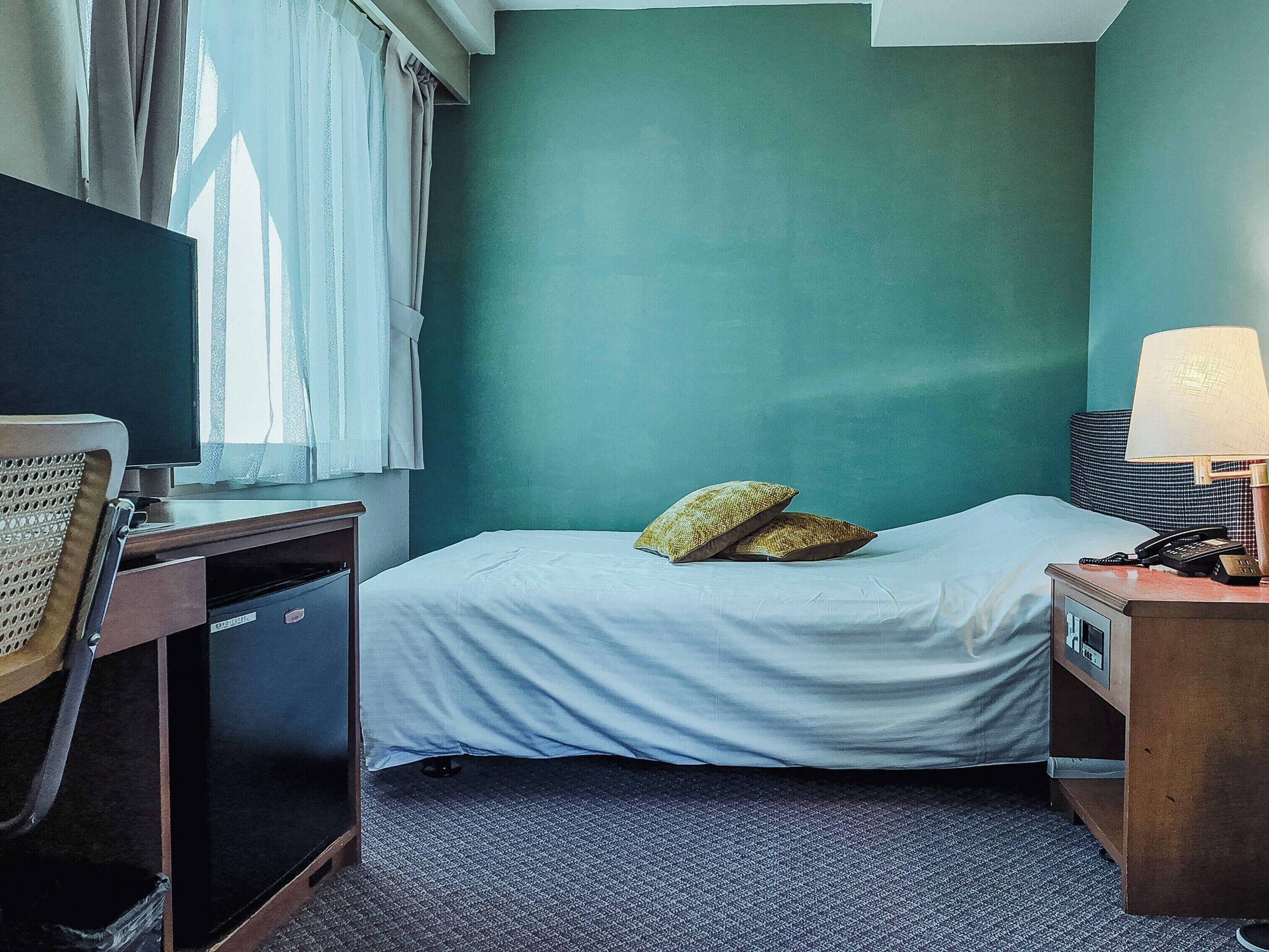 Habitación individual, para no fumadores | Escritorio, cortinas blackout y insonorización 