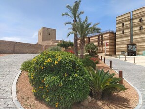 Stroll through this serene courtyard surrounded by lush greenery and vibrant flowers.