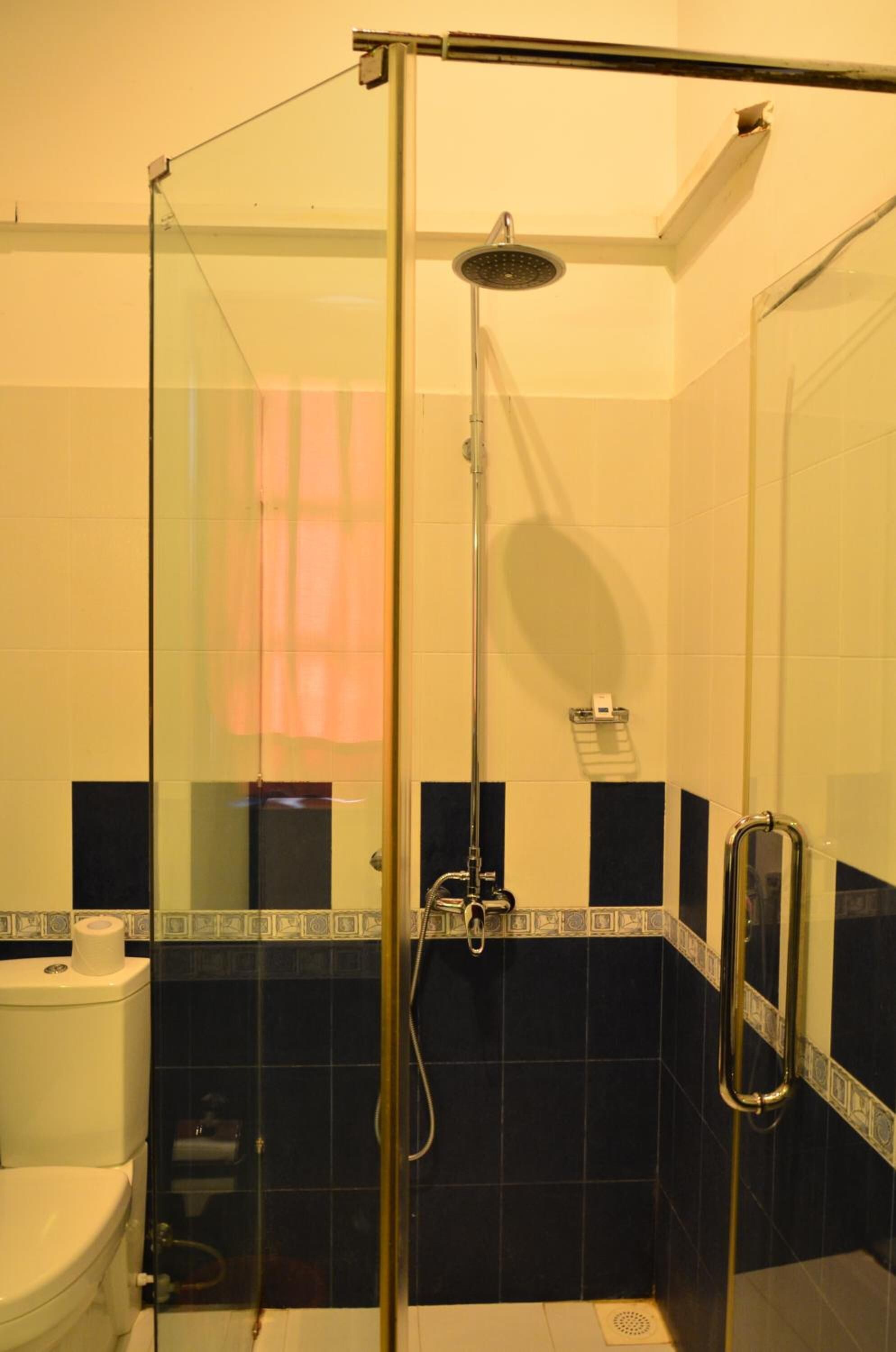 A glass-enclosed shower stall with a handheld showerhead, a toilet, and a towel rack.