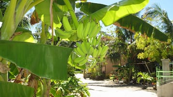 Beach Apartment (Upper Level) | Individuelt dekorert og individuelt innredet