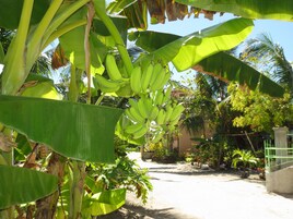 Beach Apartment (Upper Level) | Individually decorated, individually furnished, rollaway beds