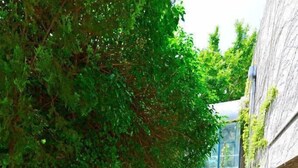 A wooden staircase leading to a building with a blue door, surrounded by greenery and a rope barrier. - Jadran-Zvončac Accommodations - Hostel (Split)
