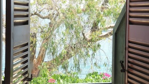 Une fenêtre avec des volets, une vue sur un arbre et quelques fleurs roses.