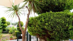 Un jardin bien entretenu, avec différentes espèces de plantes et un grand parasol qui offre de l’ombre.