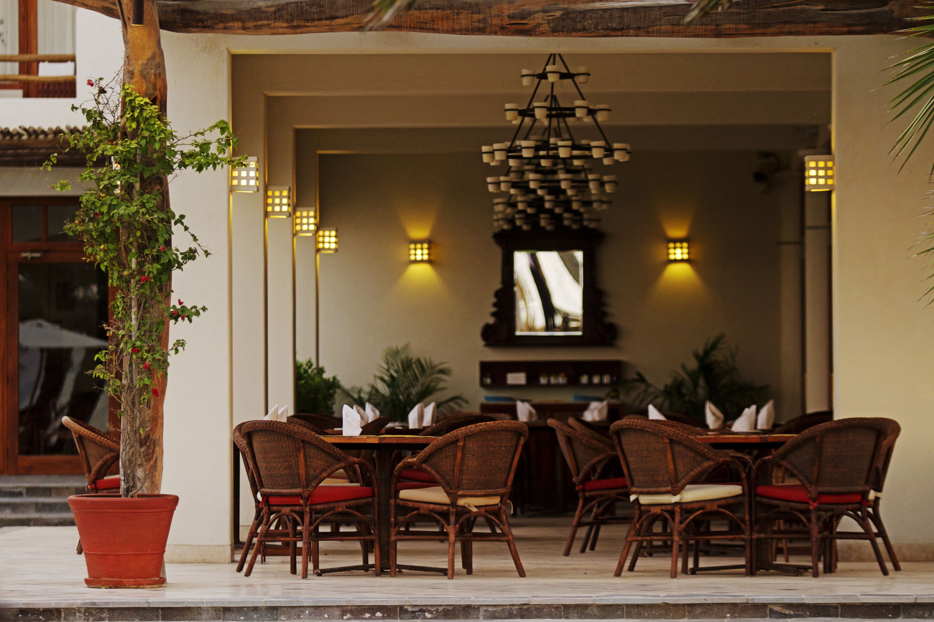 An outdoor seating area with wicker chairs and a potted plant.