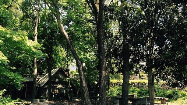A rustic cabin surrounded by dense trees in a forested area. - Lilac Hotels and Resort (Kanoya)