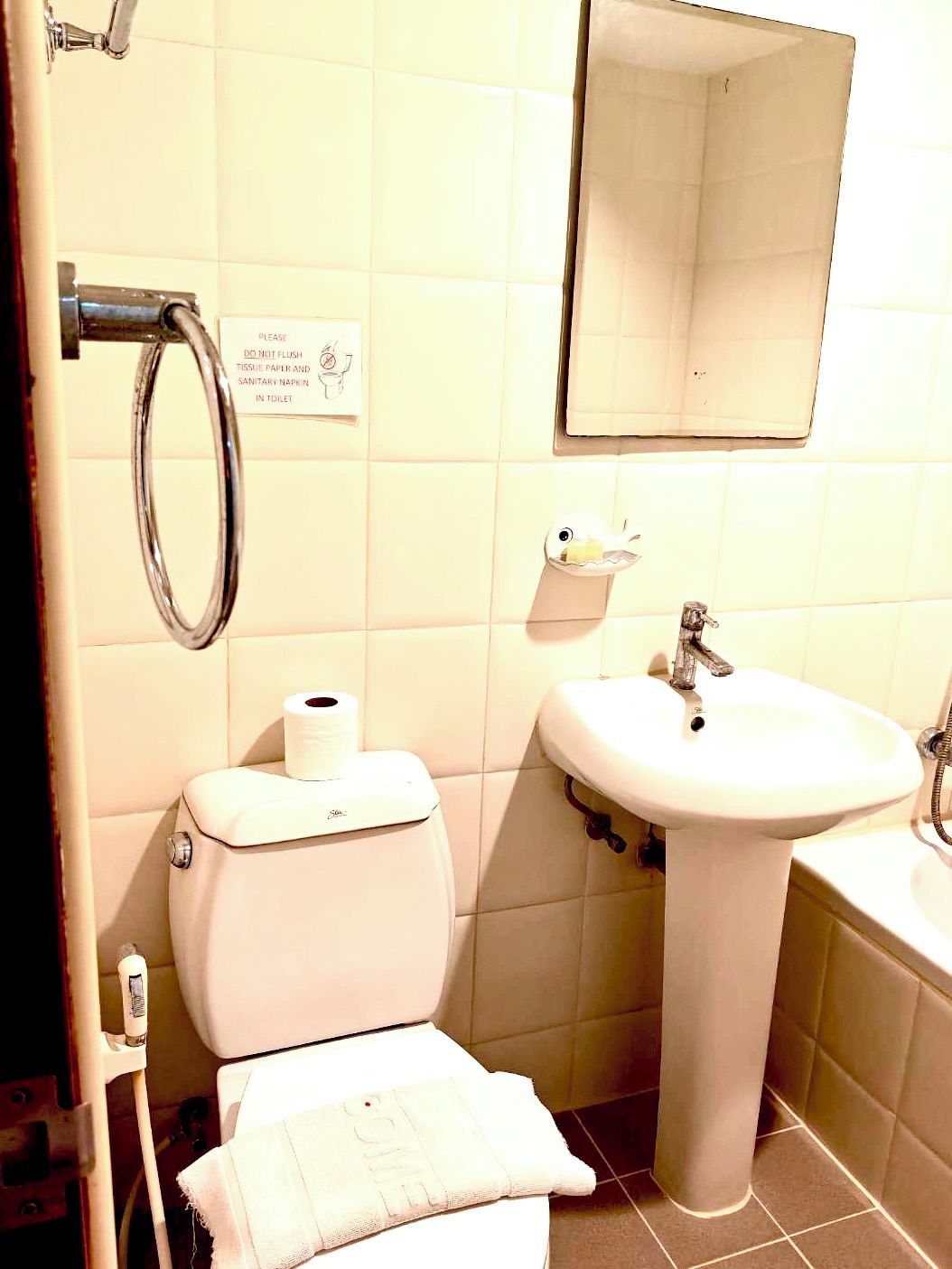 A bathroom with a toilet, a sink, a mirror, and a handrail.