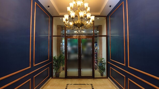 Un pasillo con candelabro, puertas dobles y plantas en macetas.