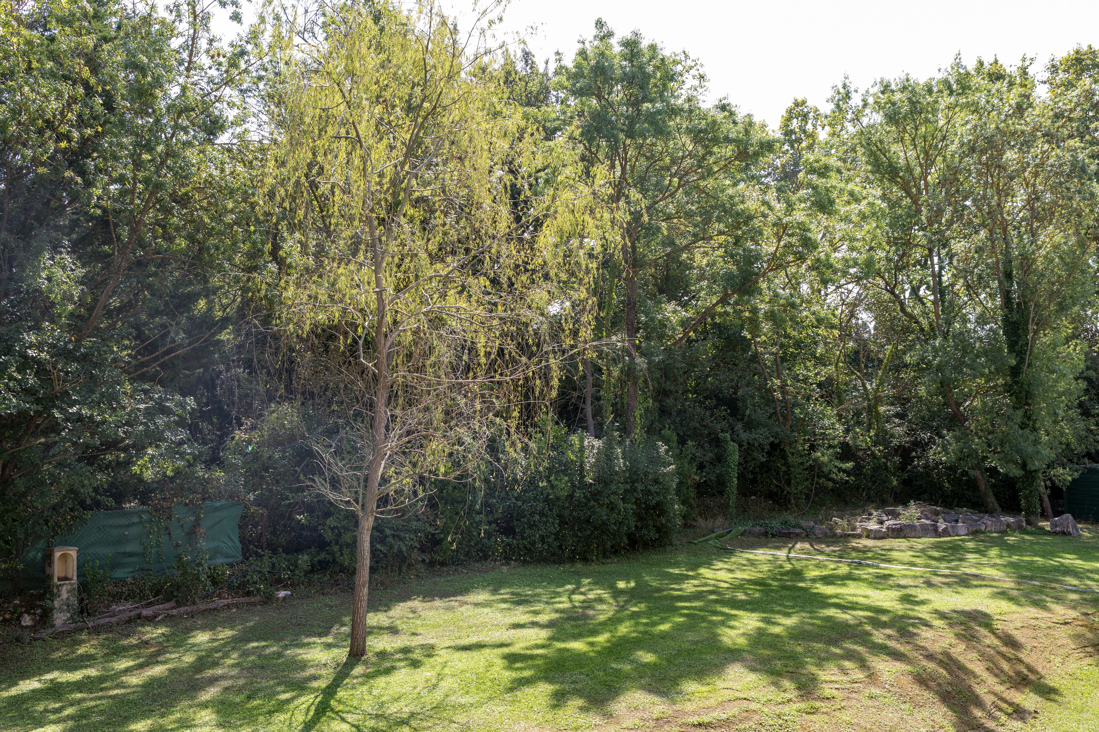 A lush garden with a variety of trees and shrubs, a well-maintained lawn, and a stone pathway.