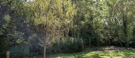 A lush garden with a variety of trees and shrubs, a well-maintained lawn, and a stone pathway.