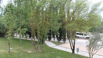 A park with trees, a paved path, and a white vehicle parked on the side.