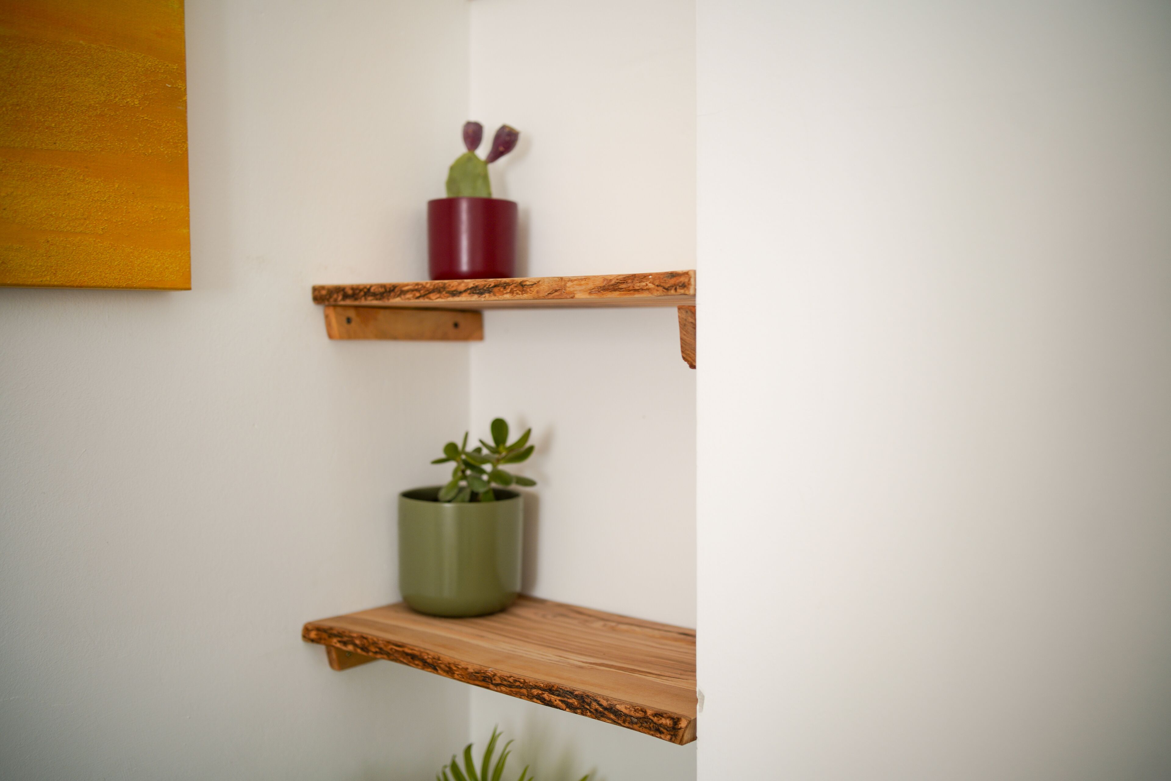 Foto - La Bella Lecce B&B