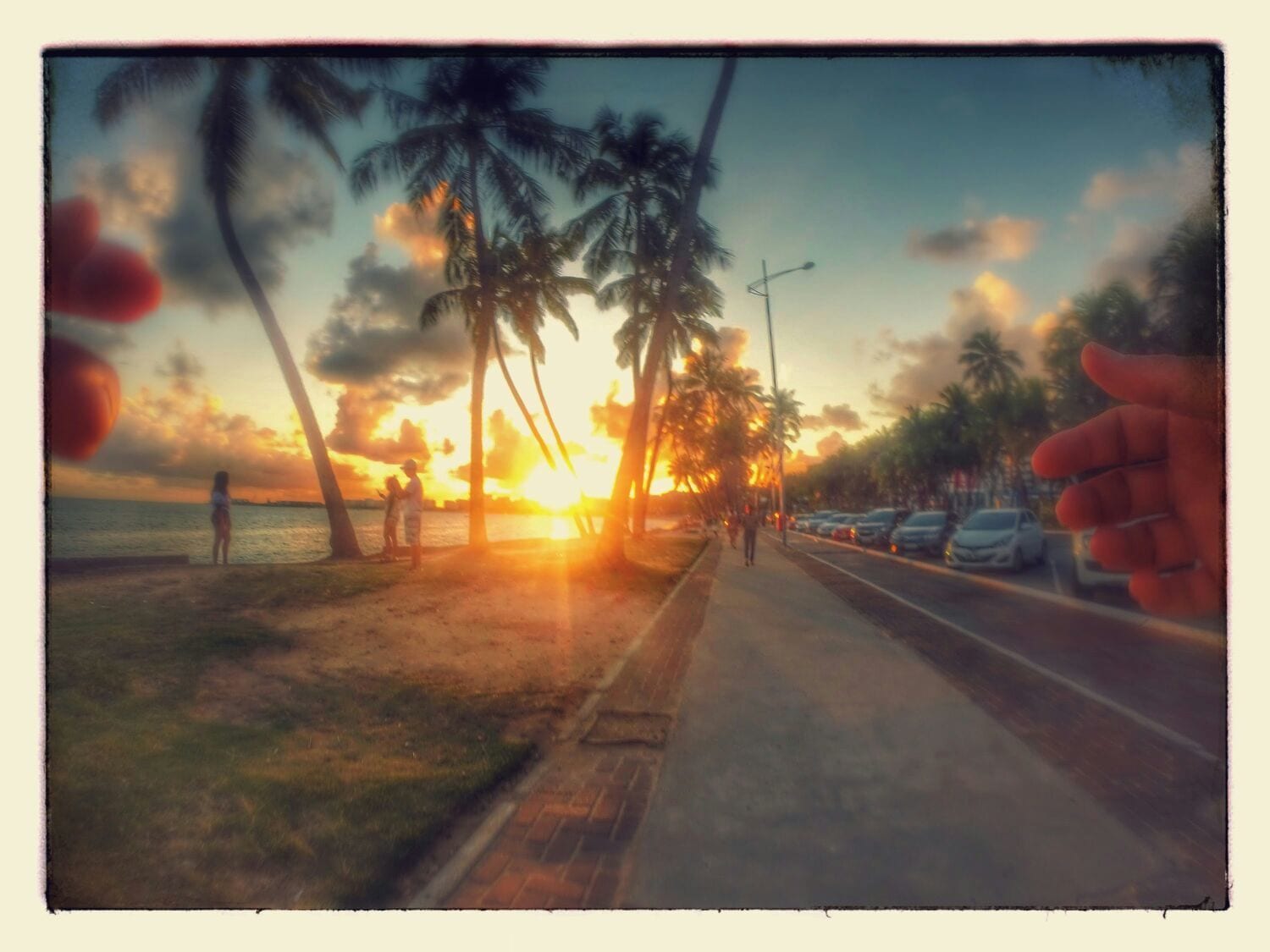 A sunset view with palm trees and a road.