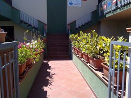 Un estrecho pasillo flanqueado por macetas con plantas, que conduce a una escalera.