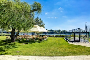 Trädgård