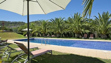 Piscina com espreguiçadeiras e guarda-sol, cercada por palmeiras e vegetação.