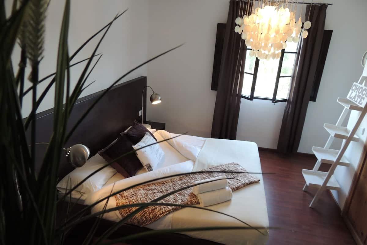 Una cama bien hecha con almohadas y una manta, una lámpara de noche, una ventana con cortinas y una planta en primer plano.