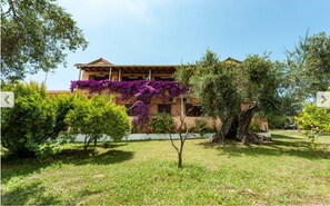 Garden - Marilena Apartments & Studios (Corfu)