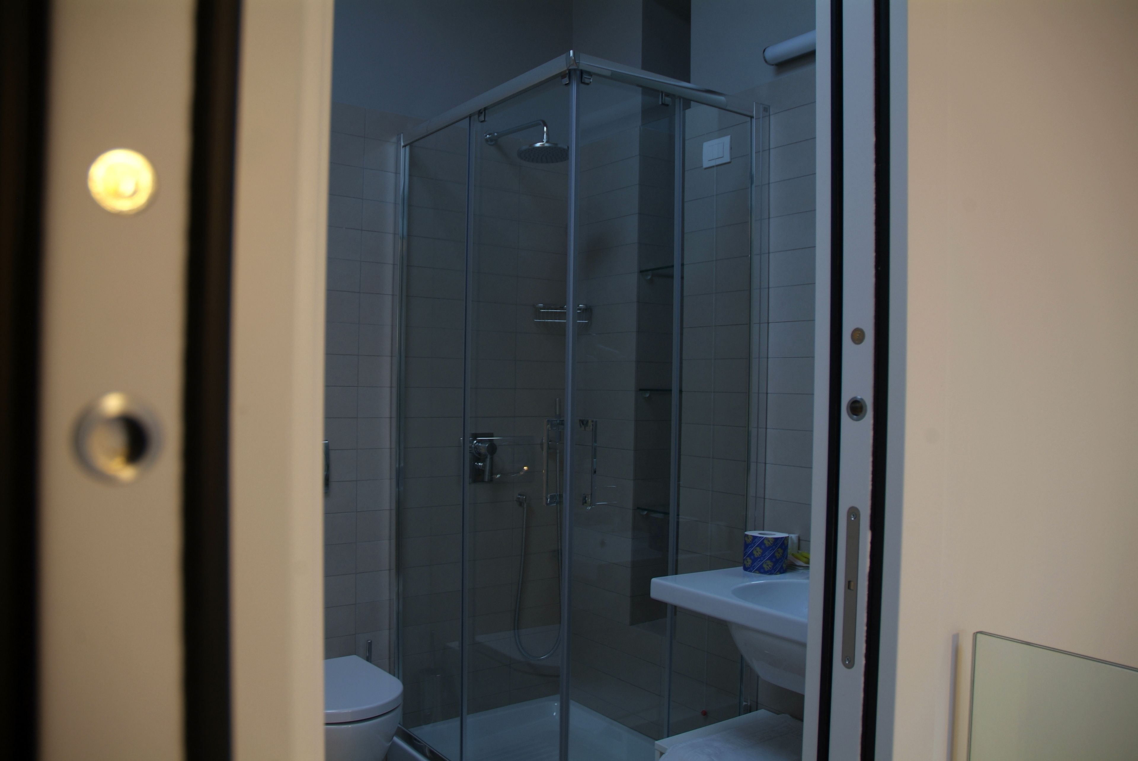 A glass-enclosed shower area with a white sink and toilet visible through the glass.