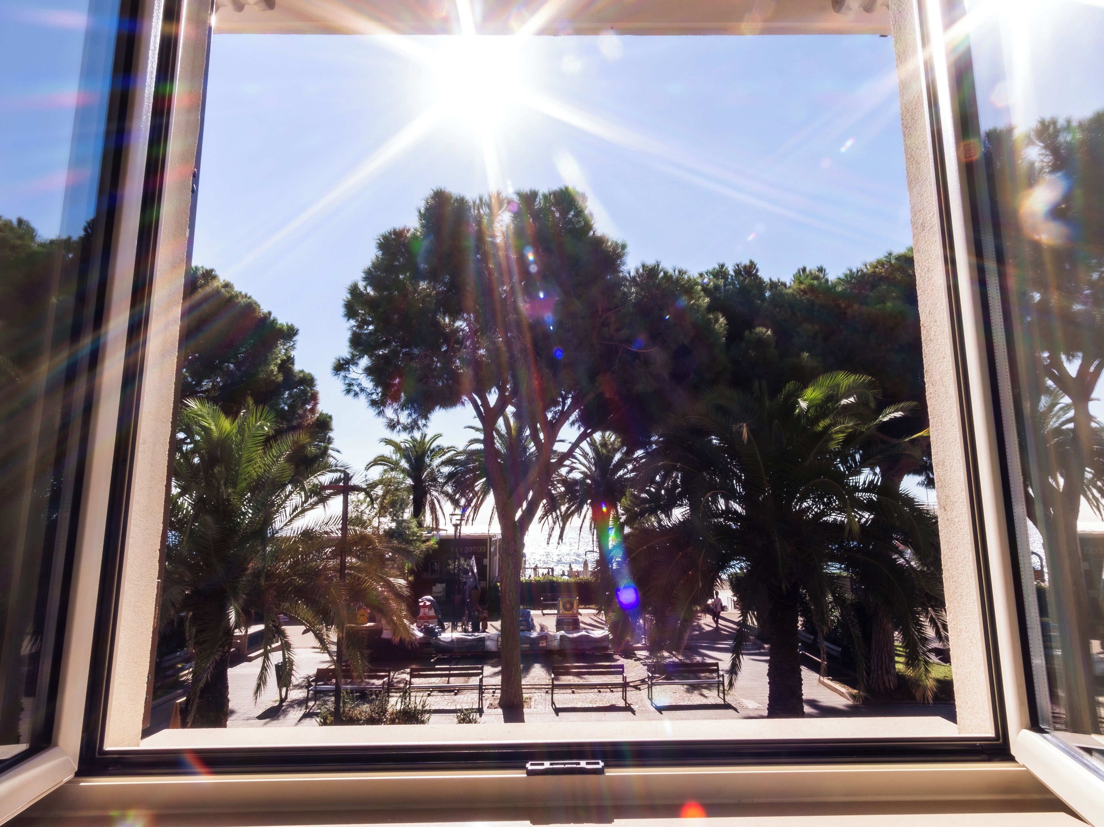Une vue à travers une fenêtre, avec la lumière du soleil, des palmiers et une scène de rue.