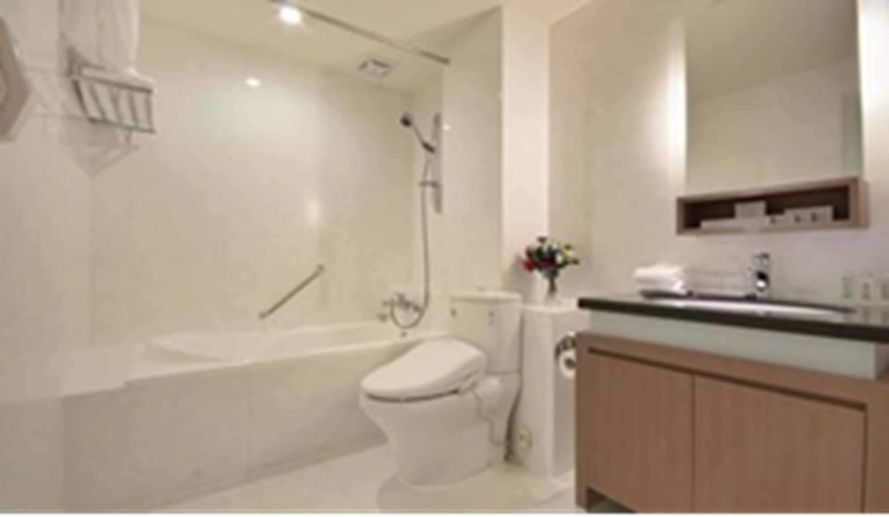 hydromassage showerhead, hair dryer, towels