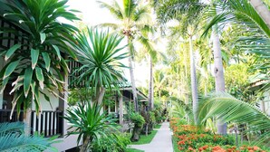A pathway lined with palm trees and tropical plants, leading to a building with a balcony. - Lamai Inn 99 Bungalows (Koh Samui)