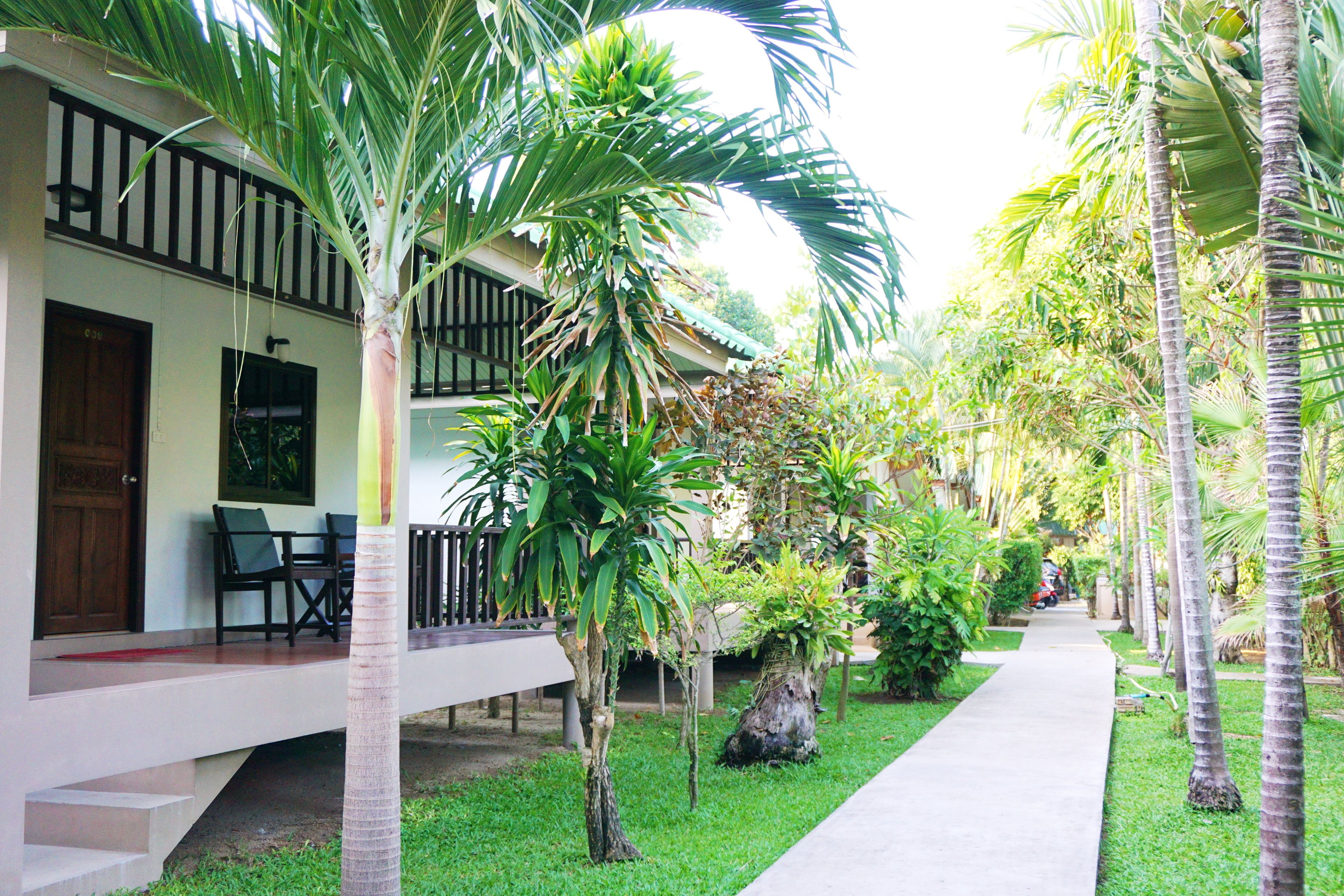 A pathway lined with palm trees and a building with a balcony and outdoor seating area.