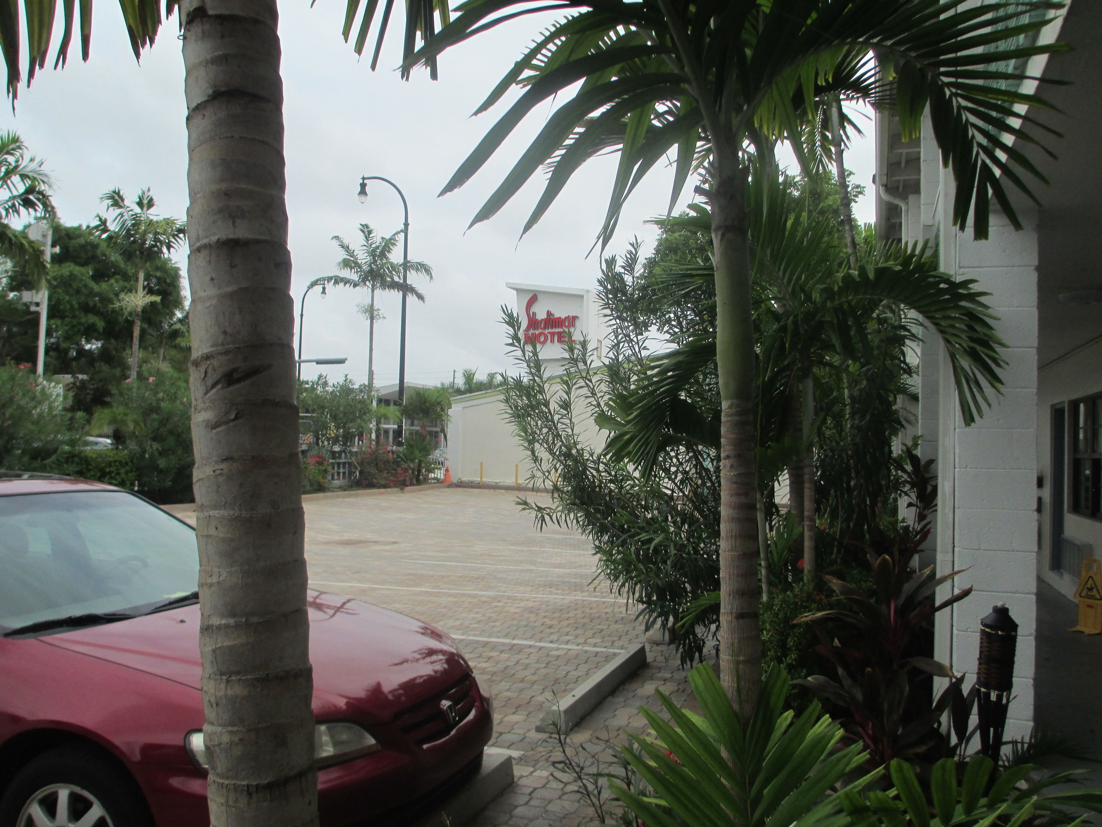 A parking area with a red car, palm trees, and a building with a sign.