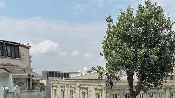 Une table ronde, dressée sur un balcon offrant une vue sur des immeubles et un arbre, est garnie d’une variété d’aliments pour le petit-déjeuner, notamment des œufs, des toasts et des fruits.