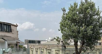 Adahan DeCamondo Pera, Autograph Collection