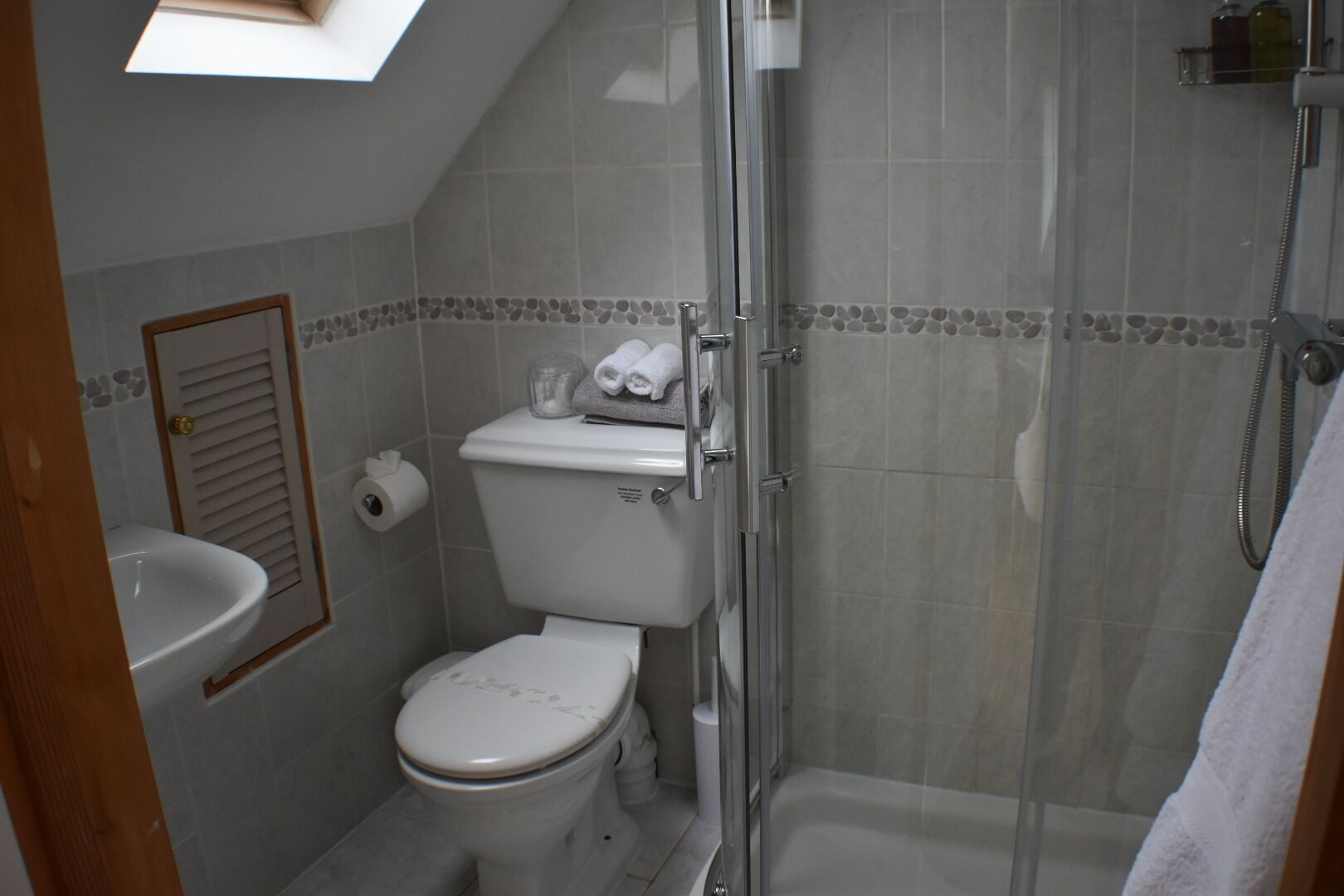 A bathroom with a toilet, sink, shower, and skylight.
